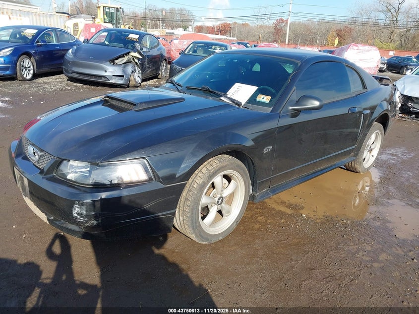 2002 Ford Mustang Gt VIN: 1FAFP42X12F222043 Lot: 43750613