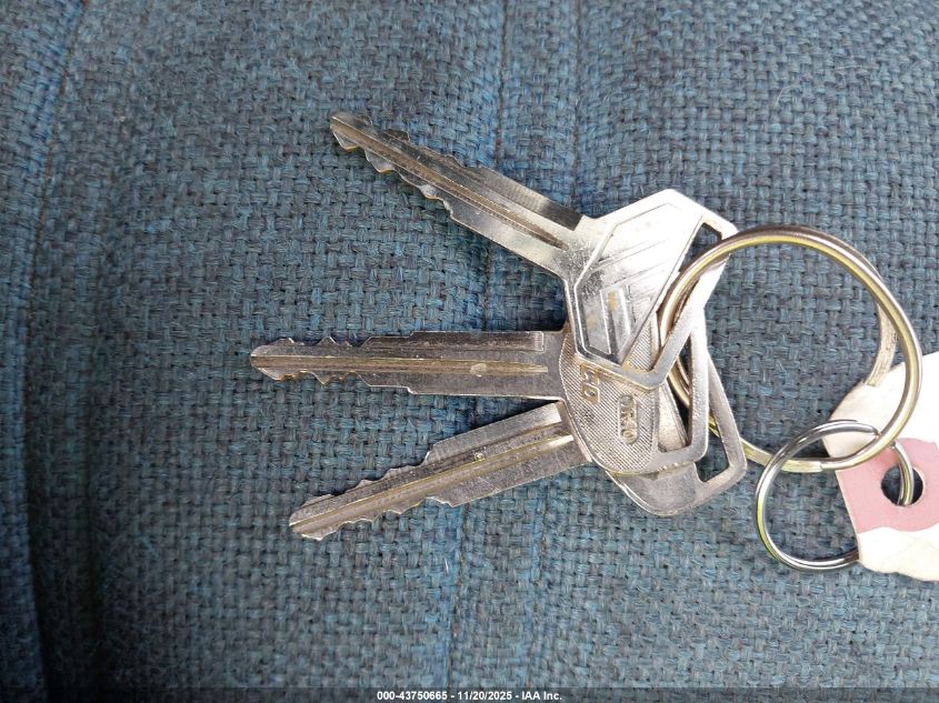 1993 Toyota Pickup 1/2 Ton Short Whlbase Stb VIN: 4TARN81A6PZ092635 Lot: 43750665