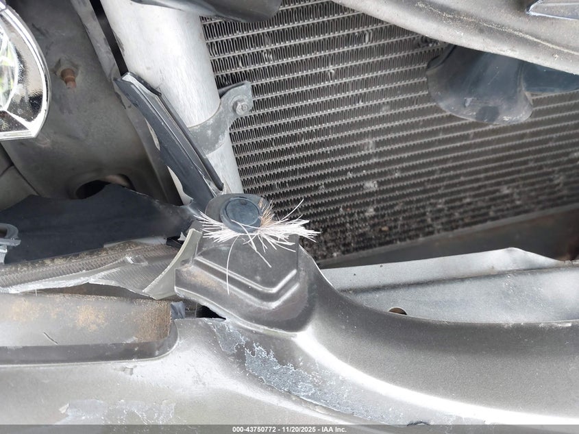 2002 Infiniti I35 Luxury VIN: JNKDA31A02T008297 Lot: 43750772