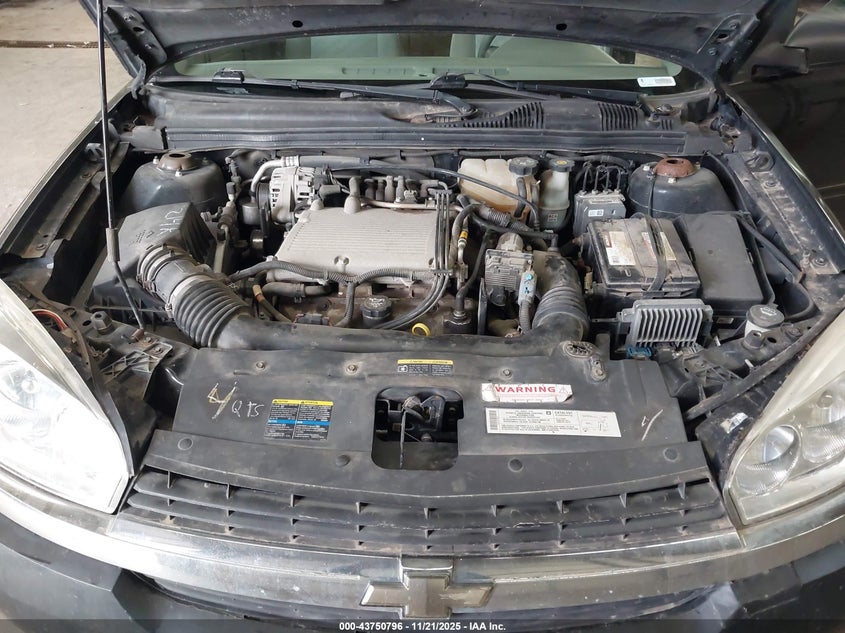 1G1ZT54824F127906 2004 CHEVROLET MALIBU photo no. 10