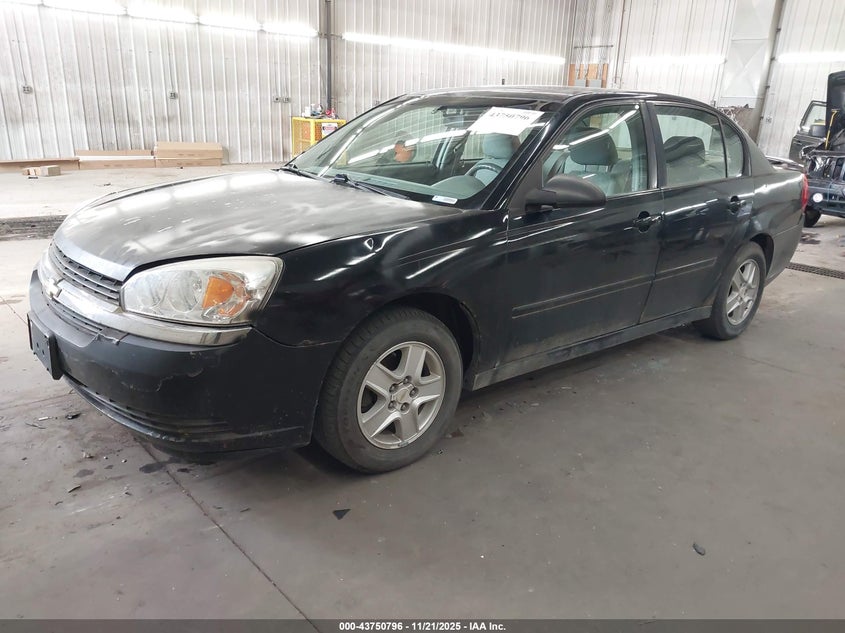 1G1ZT54824F127906 2004 CHEVROLET MALIBU photo no. 2