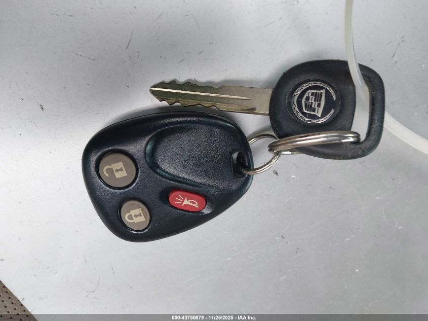 2004 Cadillac Escalade Esv Platinum Edition VIN: 3GYFK66N24G338358 Lot: 43750879