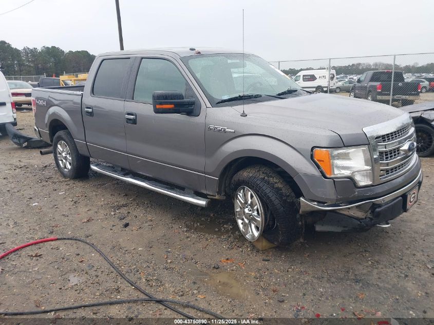 FORD F-150 XLT