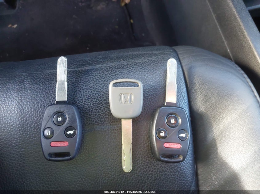 2009 Honda Pilot Ex-L VIN: 5FNYF48539B038328 Lot: 43751012