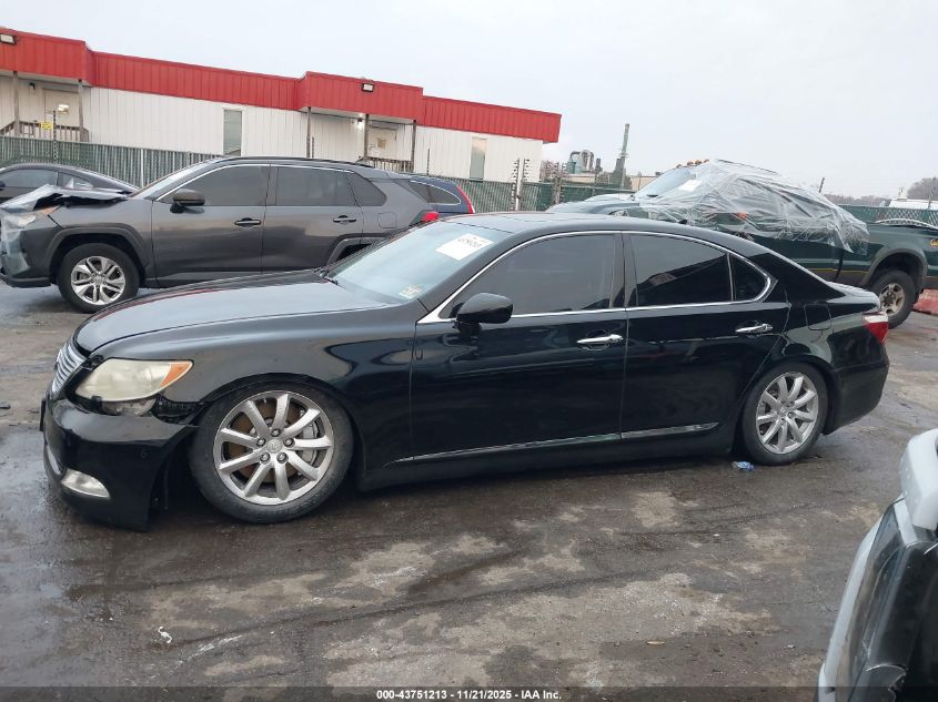 2009 Lexus Ls 460 VIN: JTHCL46F395004100 Lot: 43751213