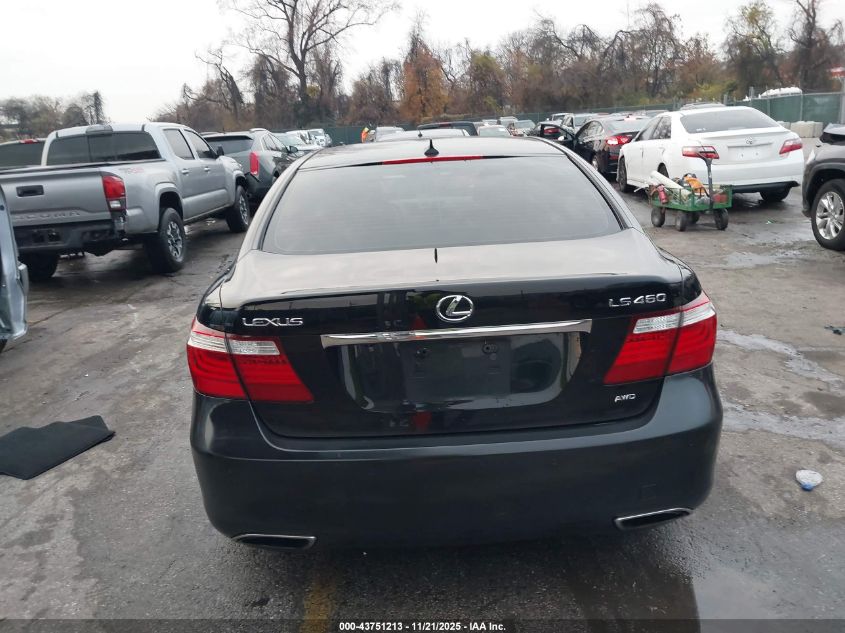 2009 Lexus Ls 460 VIN: JTHCL46F395004100 Lot: 43751213