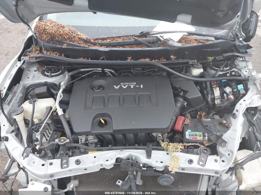 2009 Toyota Matrix VIN: 2T1KU40E09C106211 Lot: 43751640