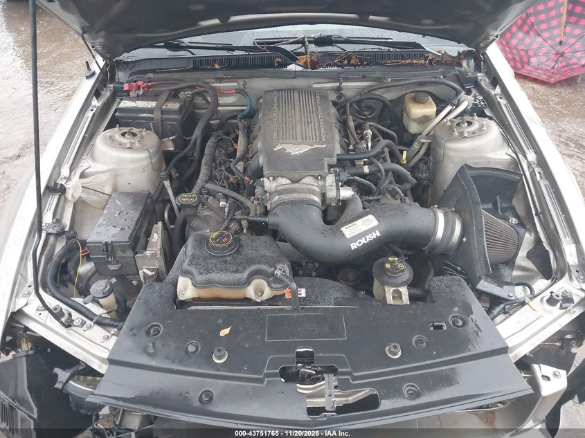 2008 Ford Mustang Gt Deluxe/Gt Premium VIN: 1ZVHT82H085135437 Lot: 43751765