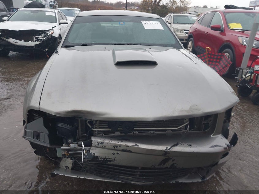 2008 Ford Mustang Gt Deluxe/Gt Premium VIN: 1ZVHT82H085135437 Lot: 43751765