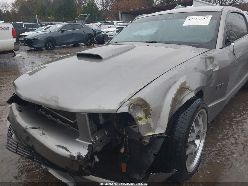 2008 Ford Mustang Gt Deluxe/Gt Premium VIN: 1ZVHT82H085135437 Lot: 43751765