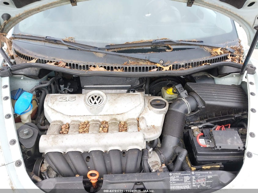 2006 Volkswagen New Beetle 2.5 VIN: 3VWSF31YX6M304274 Lot: 43751771
