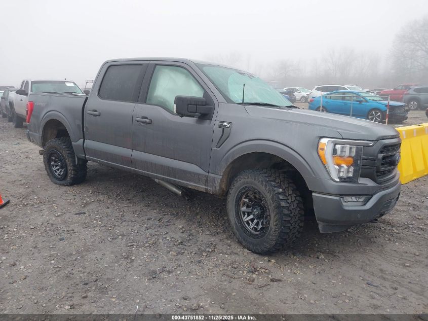 FORD F-150 XLT