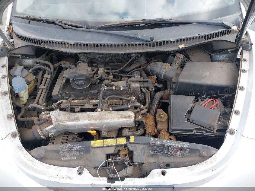 2006 Volkswagen New Beetle Glx VIN: 3VWDD21C33M417282 Lot: 43752356