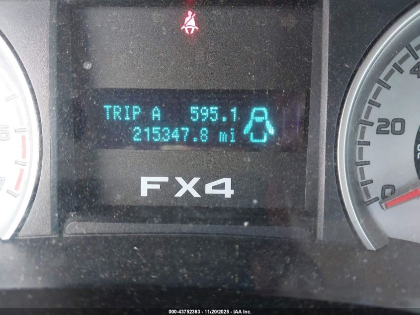 2009 Ford F-150 Fx4/King Ranch/Lariat/Platinum/Xl/Xlt VIN: 1FTPW14V59FA80124 Lot: 43752363