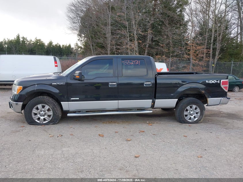 2011 Ford F-150 Xlt VIN: 1FTFW1ET1BFA67773 Lot: 43752424