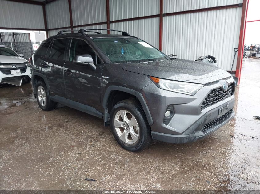 TOYOTA RAV4 HYBRID XLE