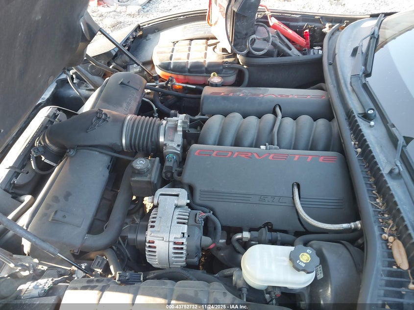 2004 Chevrolet Corvette VIN: 1G1YY22G645120159 Lot: 43752732