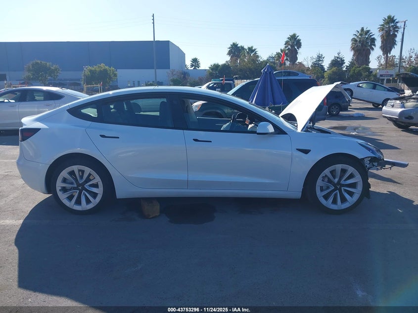 2023 Tesla Model 3 Rear-Wheel Drive VIN: 5YJ3E1EAXPF562683 Lot: 43753296