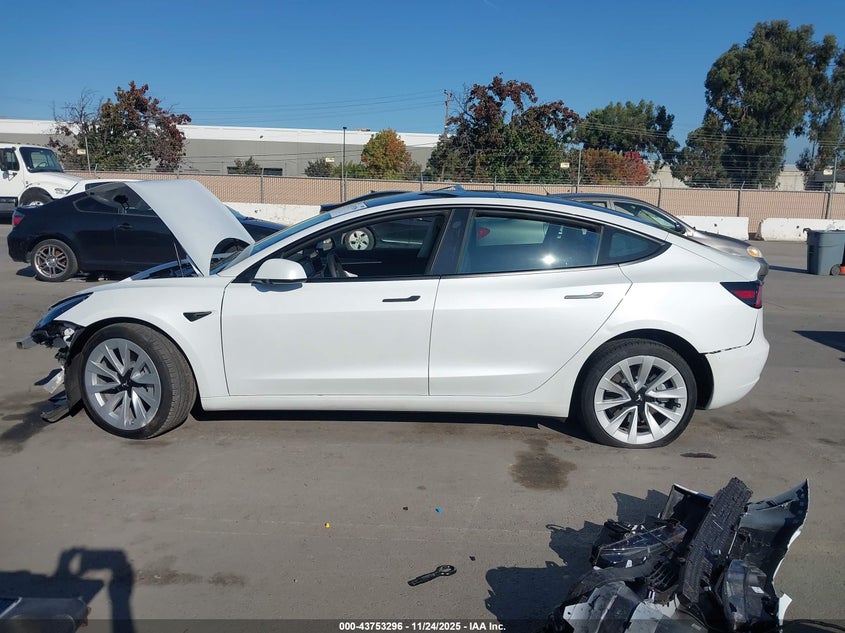 2023 Tesla Model 3 Rear-Wheel Drive VIN: 5YJ3E1EAXPF562683 Lot: 43753296
