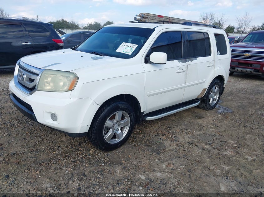 5FNYF3H47AB009260 2010 HONDA PILOT photo no. 2