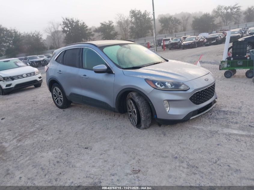 FORD ESCAPE SEL