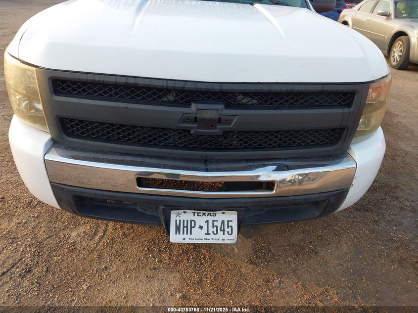 3GCRCREA7AG194303 2010 CHEVROLET SILVERADO photo no. 6