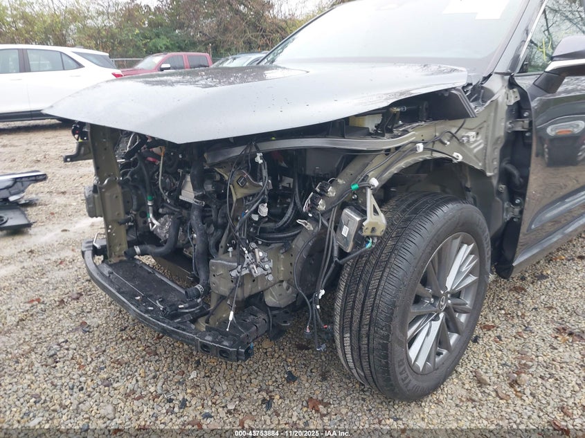 2024 Lexus Tx 350 VIN: 5TDAAAB67RS010396 Lot: 43753884