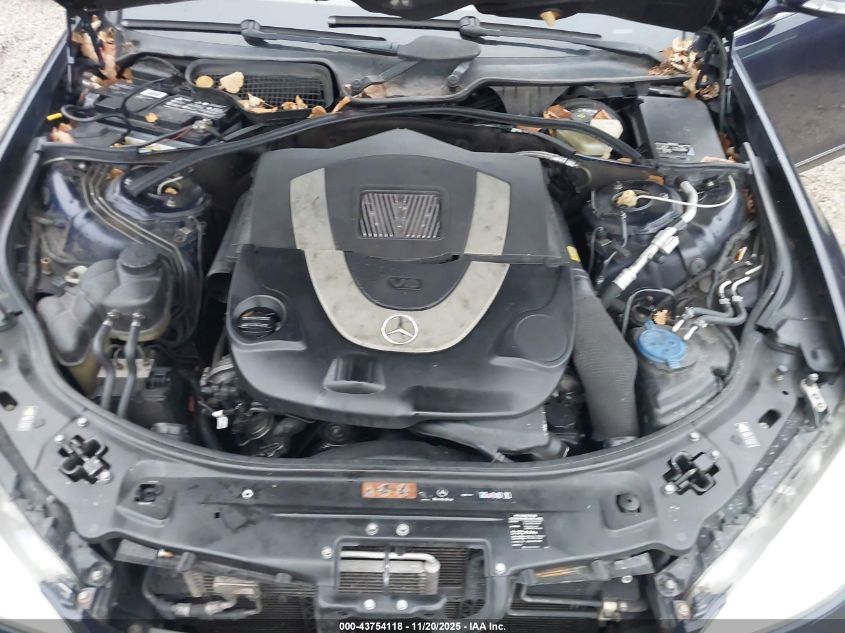 2009 Mercedes-Benz S 550 4Matic VIN: WDDNG86X39A261558 Lot: 43754118