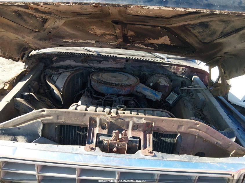 1979 Ford Pick Up Truck VIN: F14BLFD1632 Lot: 43754406