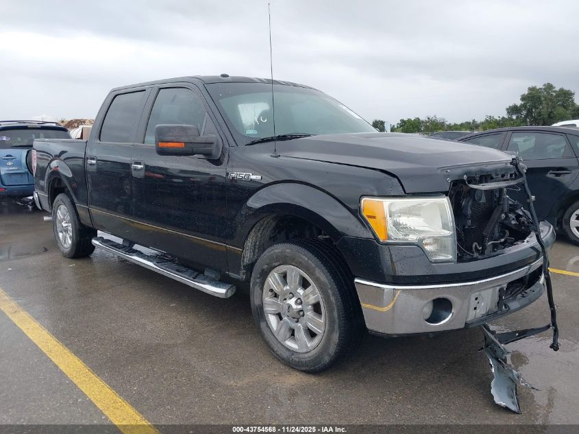 FORD F-150 FX2 SPORT/XL/XLT