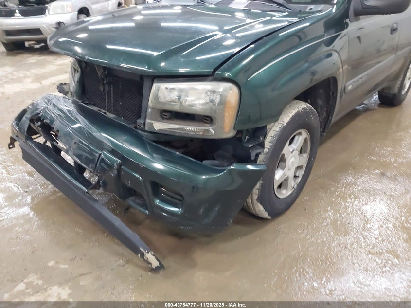 2004 Chevrolet Trailblazer Ls VIN: 1GNDT13S042181162 Lot: 43754777