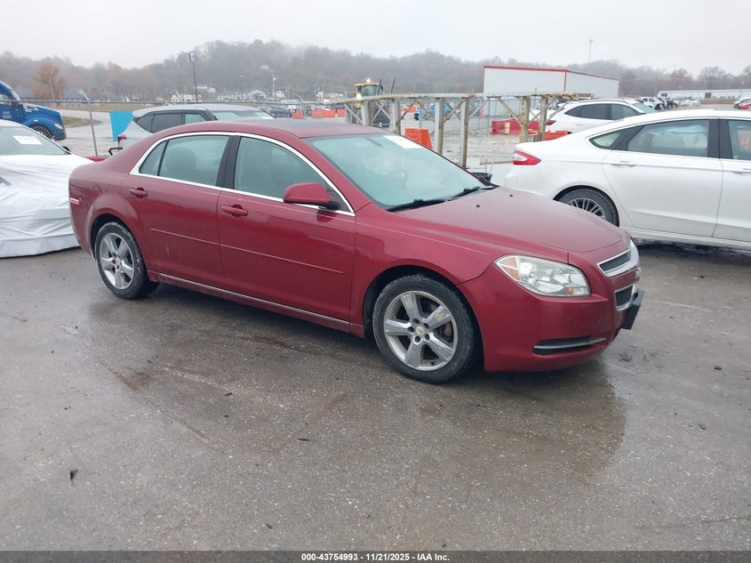 CHEVROLET MALIBU 1LT