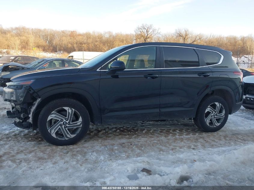 2023 Hyundai Santa Fe Se VIN: 5NMS1DAJ6PH630510 Lot: 43755188