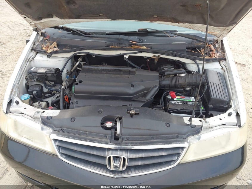 2002 Honda Odyssey Ex-L VIN: 5FNRL18052B046176 Lot: 43755203