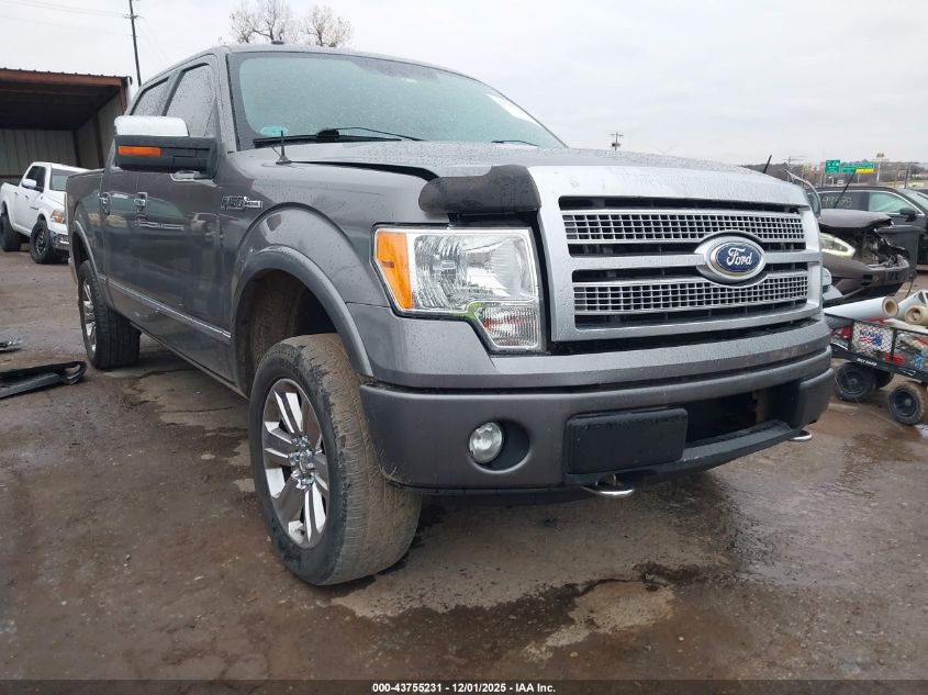 FORD F-150 PLATINUM