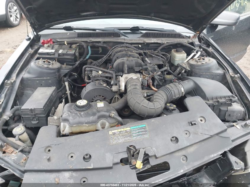 2005 Ford Mustang V6 Deluxe/V6 Premium VIN: 1ZVFT80NX55150149 Lot: 43755483