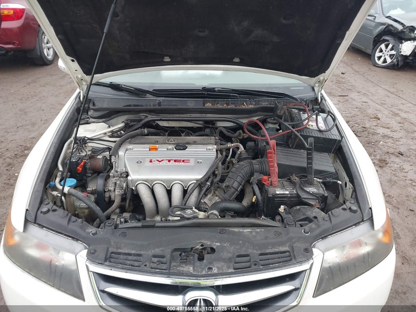 2008 Acura Tsx VIN: JH4CL968X8C013840 Lot: 43755558