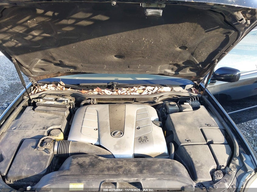 2006 Lexus Ls 430 VIN: JTHBN36F565047168 Lot: 43755564