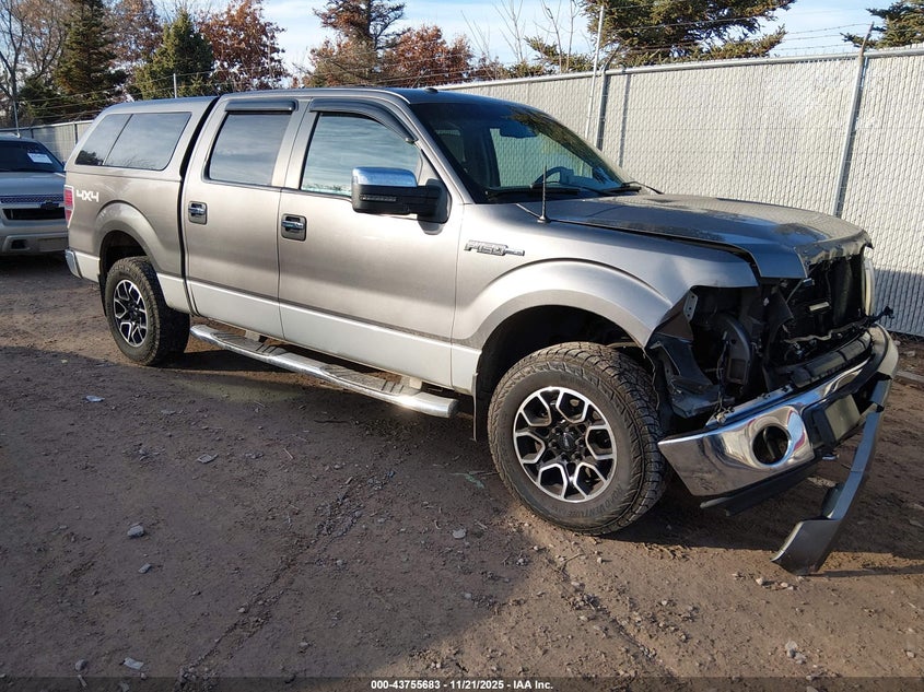 FORD F-150 FX4/HARLEY-DAVIDSON/KING RANCH/LARIAT/PLATINUM/XL/XLT