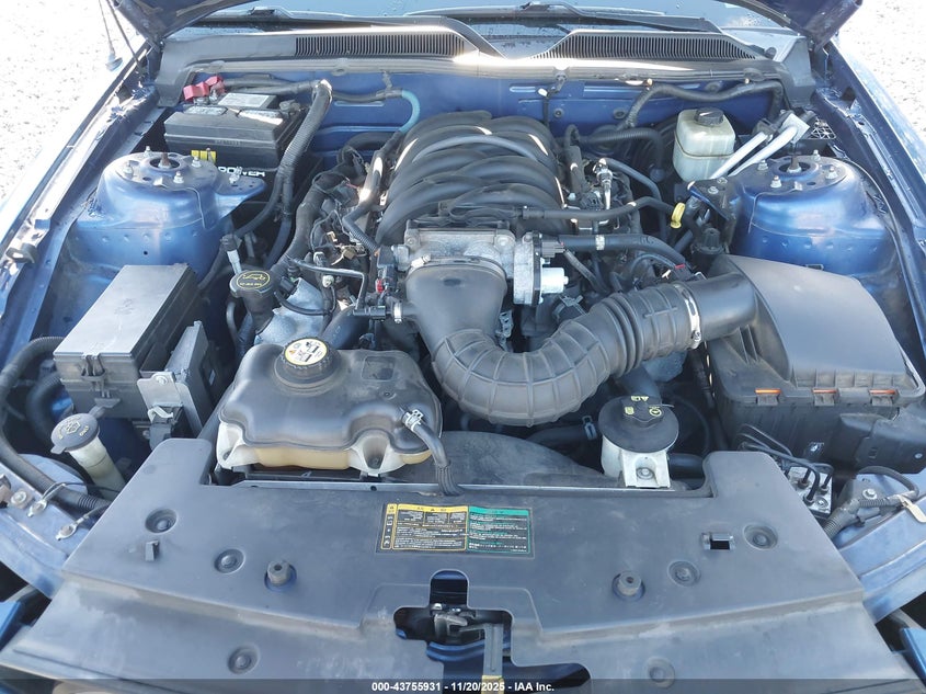 2006 Ford Mustang Gt VIN: 1ZVFT85H465131763 Lot: 43755931