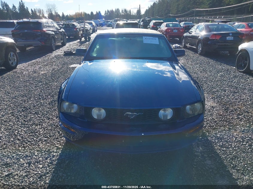 2006 Ford Mustang Gt VIN: 1ZVFT85H465131763 Lot: 43755931