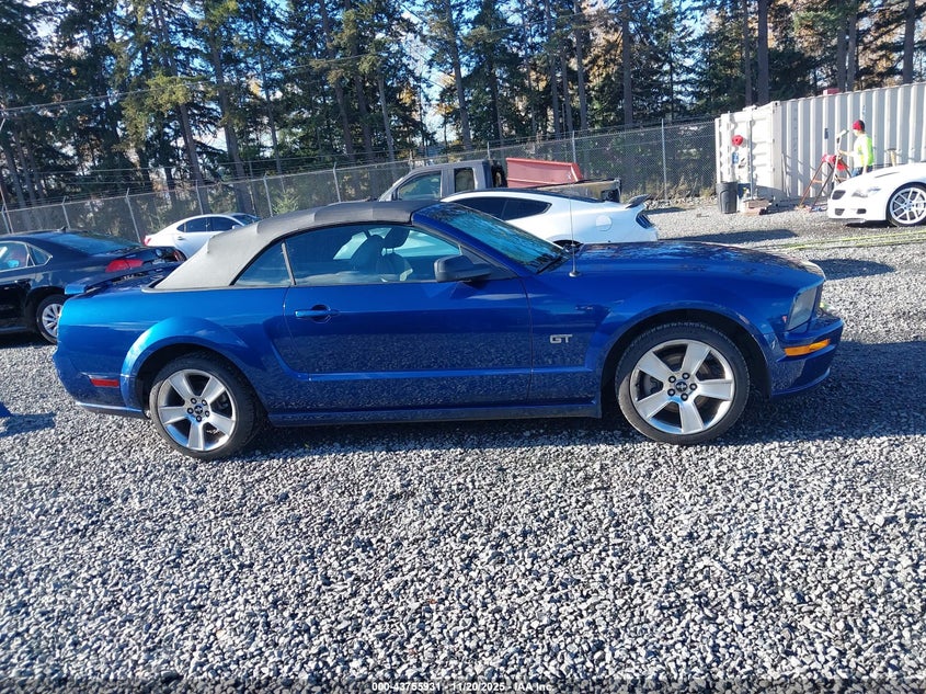 2006 Ford Mustang Gt VIN: 1ZVFT85H465131763 Lot: 43755931