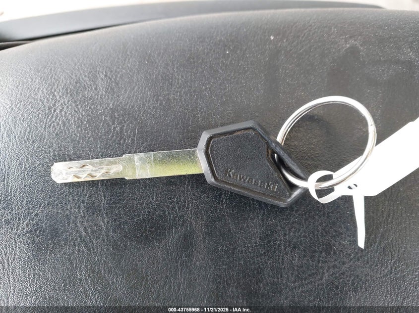 2025 Kawasaki El450 C VIN: ML5ELFC11SDA22828 Lot: 43755968