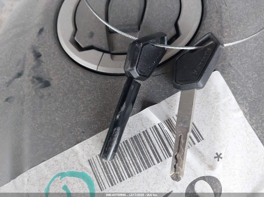 2025 Kawasaki El450 C VIN: ML5ELFC11SDA22828 Lot: 43755968