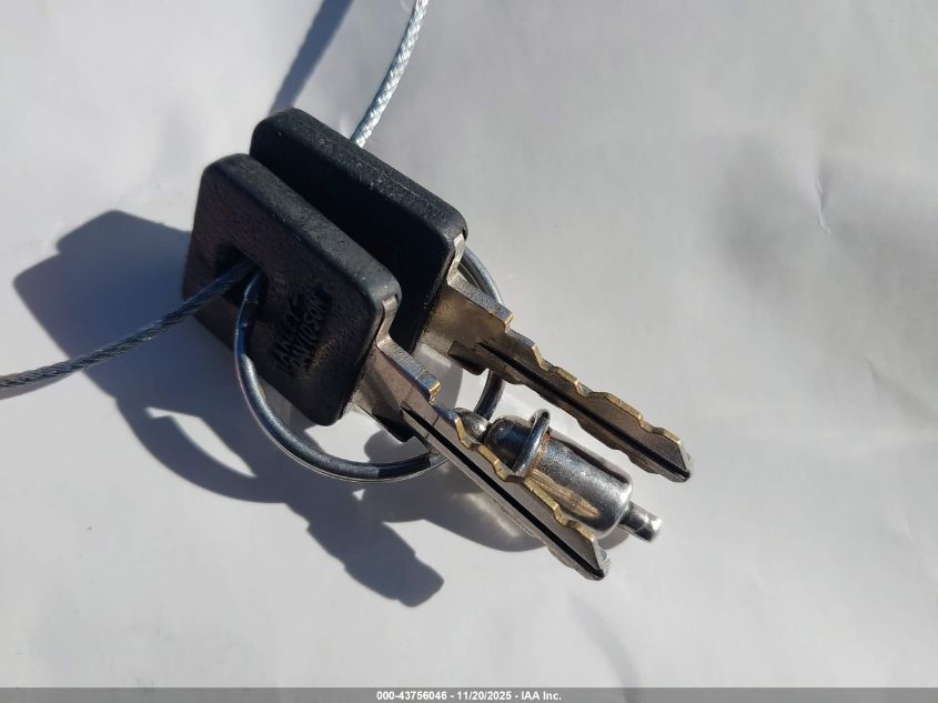 2022 Harley-Davidson Xl883 N VIN: 1HD4LE211NB414801 Lot: 43756046