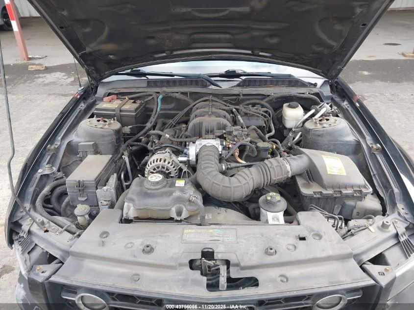 2008 Ford Mustang V6 Deluxe/V6 Premium VIN: 1ZVHT80N385102263 Lot: 43756056