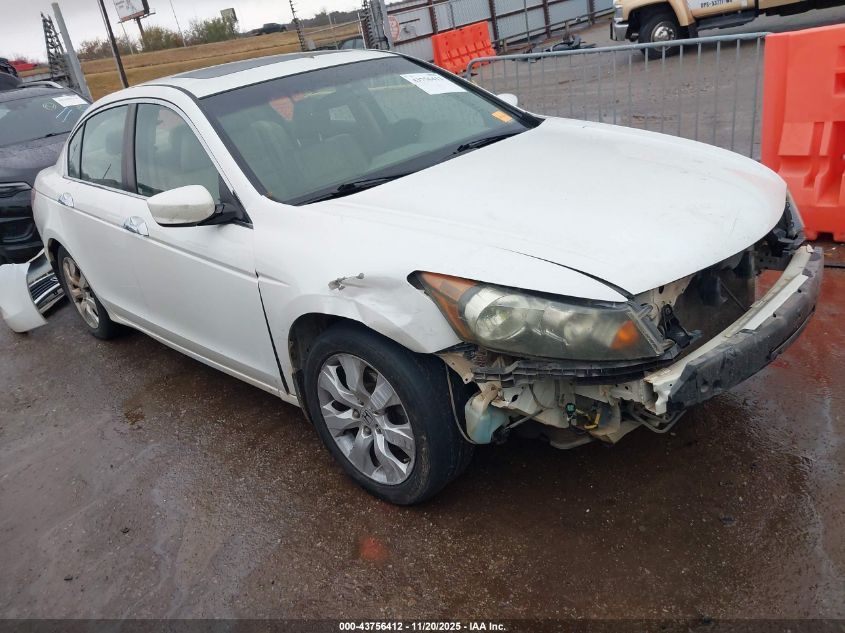 HONDA ACCORD 3.5 EX-L