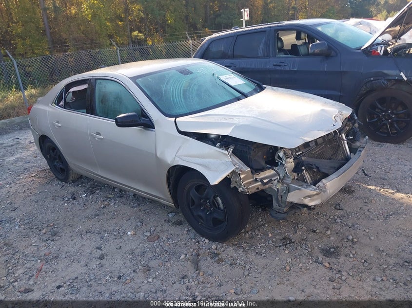 CHEVROLET MALIBU 1FL