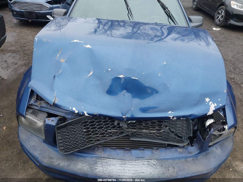 2009 Ford Mustang V6/V6 Premium VIN: 1ZVHT80N995144826 Lot: 43756704