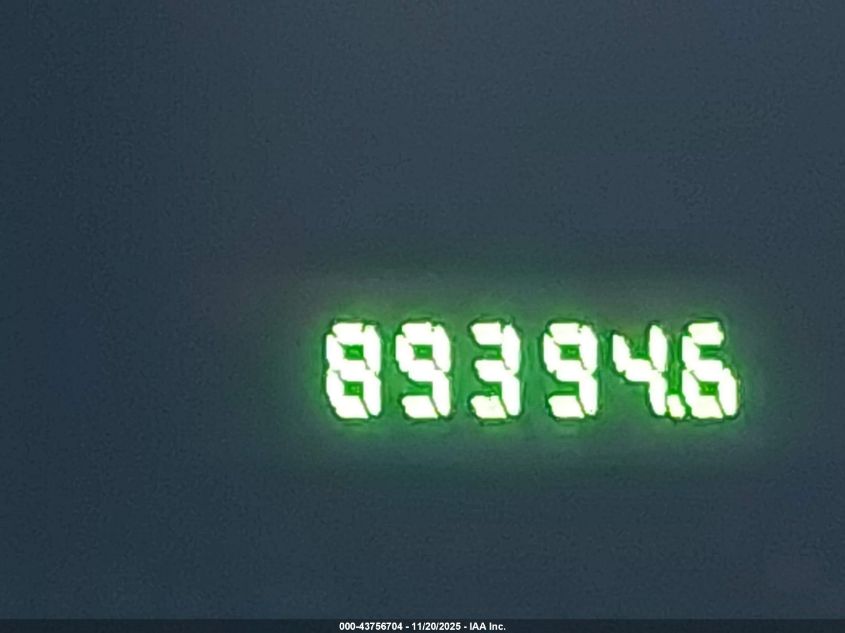 2009 Ford Mustang V6/V6 Premium VIN: 1ZVHT80N995144826 Lot: 43756704